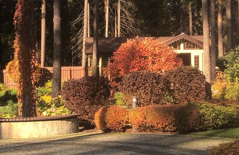 Ландшафтная студия «Северное поместье»: 17 лет превращаем ваши участки в произведения искусства