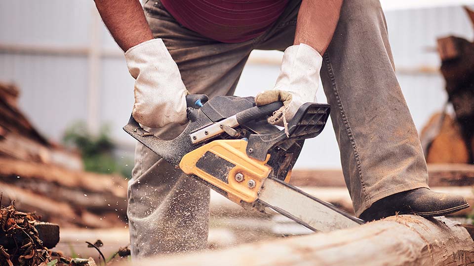 16 лучших электропил 2026: рейтинг топ лучших недорогих, цепных, мощных, аккумуляторных, ручных электрических пил для дома, дачи с ценами, отзывами