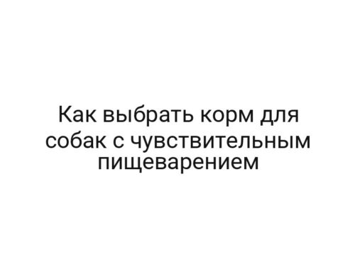 Как выбрать корм для собак с чувствительным пищеварением