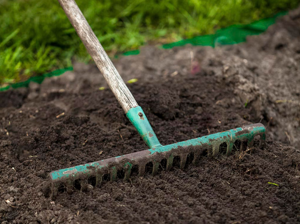 Заделка семян газона