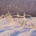 Почему поднимается грунт под фундаментом зимой