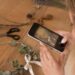 Как научиться делать красивые фото на телефон